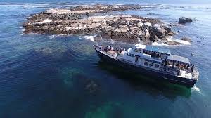 Seal Island –